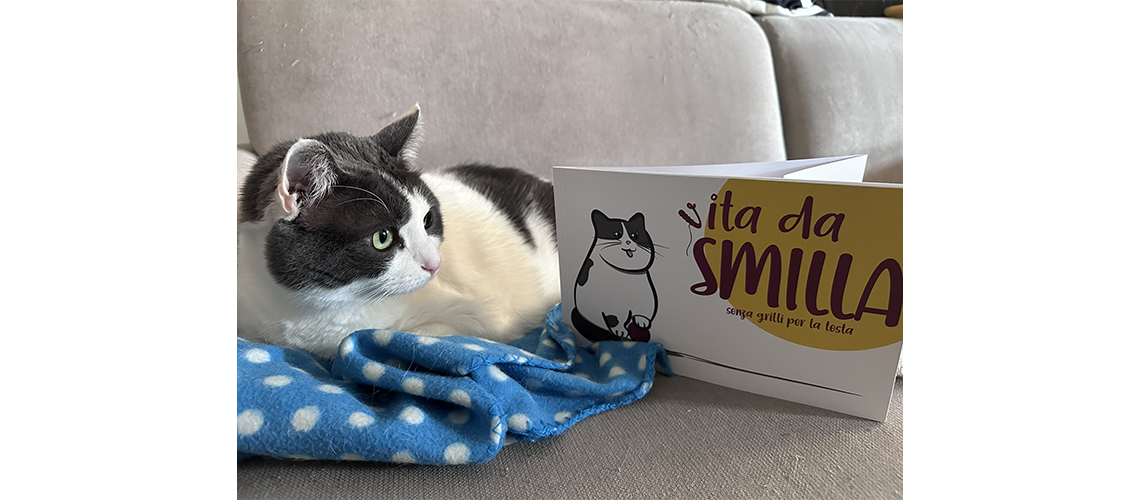 Illustrazioni Vita da Smilla, progetto editoriale di Senza Grilli per la testa con il racconto delle avventure di una gatta bianca e nera da appartamento, quando rimane sola a casa